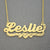 Personalized 10-14kt Gold Name with Heart Design Necklace NN15