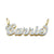 1.5 Inches Size Personalized 10K or 14K Solid Gold Double Plates Iced Out Name Pendant ND01