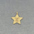 Dainty Fancy Monogram Initial Star Disc Charm Pendant Solid Gold Fine Jewelry GC25